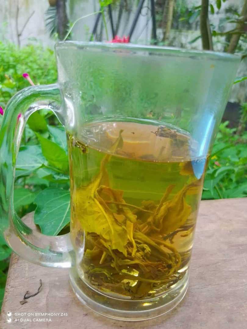 Green,tea,big,leaf