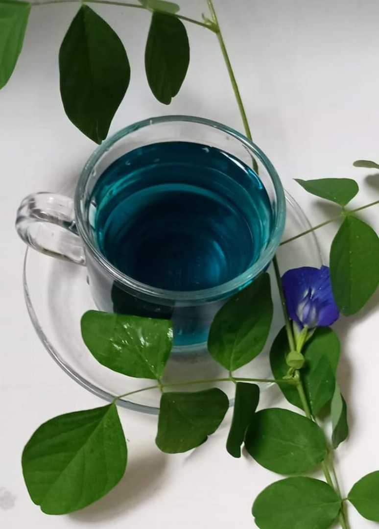 Butterfly,pea,,tea,