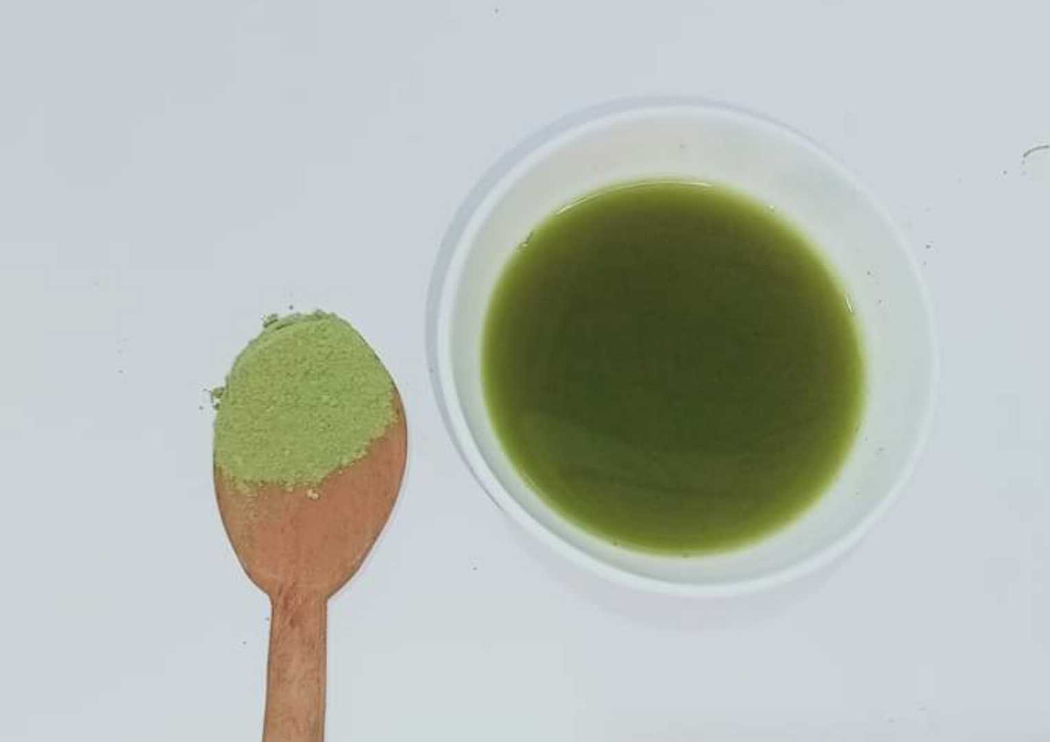 Moringa,tea,collection,